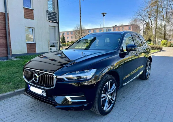 syców Volvo XC 60 cena 209900 przebieg: 64000, rok produkcji 2020 z Syców